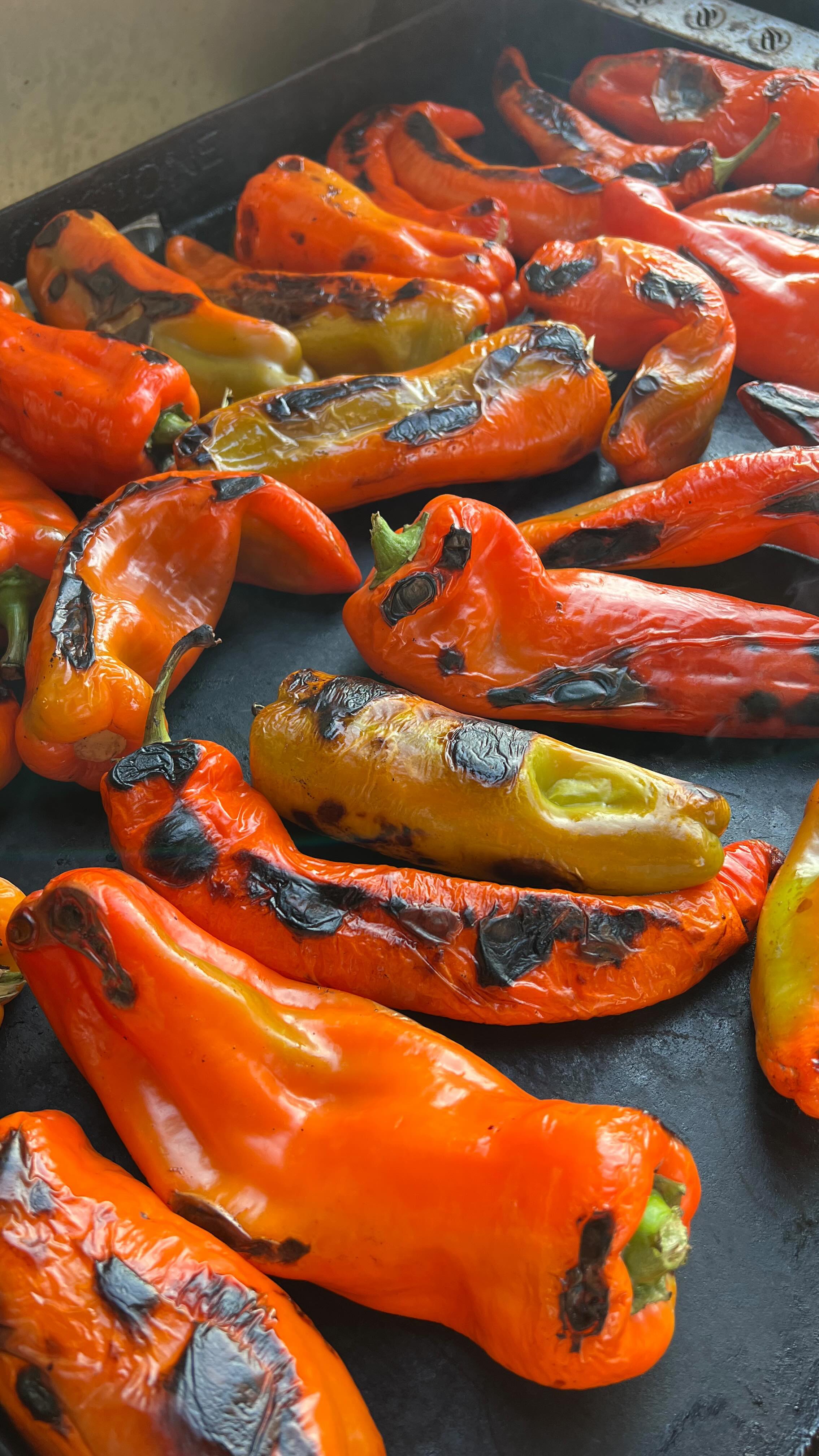 Punjene Paprike / Balkan-Style Stuffed Peppers - The Balkan Hostess